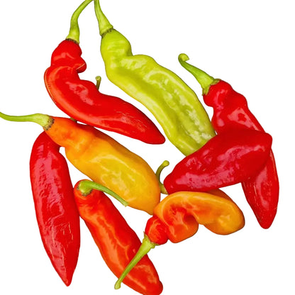 Trinidad Fresh Pimento Peppers (10 per pack)