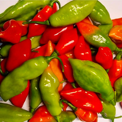 Trinidad Fresh Pimento Peppers (10 per pack)