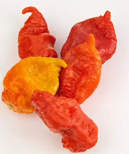 Bertie’s Scorpion Pepper Sauce (2x300ml)