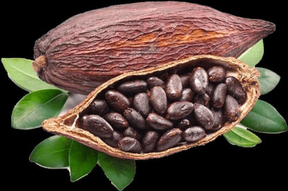 Raw Organic Cocoa Butter 100% Pure Unrefined Chocolate Bean Food Grade
